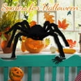 thumbnail image 2 of Halloween Spider Decorations,Giant Spider Outdoor Halloween Decorations, Big Spider Adult Toy for Home, Yard, Party Creepy Halloween Decor, 2 of 6