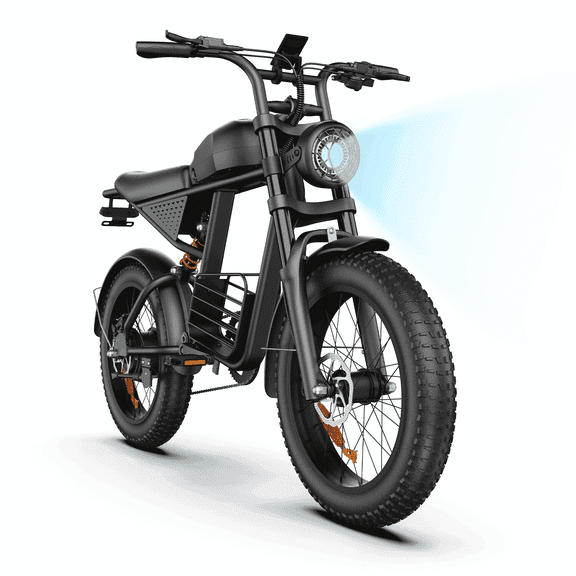 20" Fat Tire Electric Bike for Adults, Class 2 E-Bike, 750W Motor (Peak 1000W), 48V 15.6Ah Battery