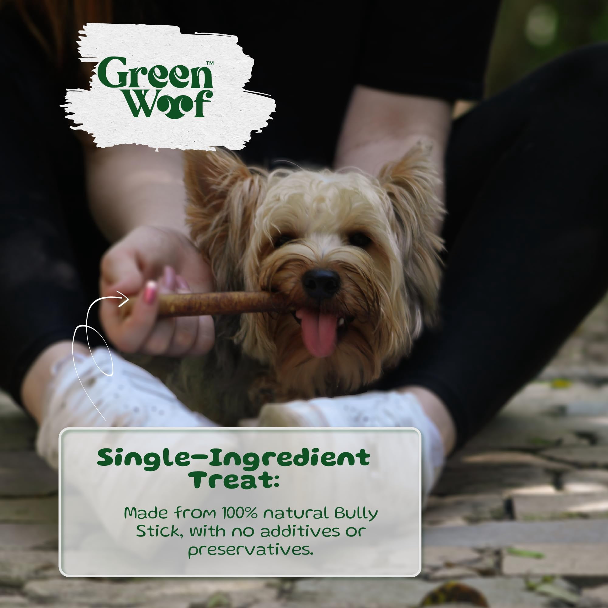 Green Woof, Bully Sticks (6 Inch), Easily Digestible 100% Pure Beef Treats, Pasture-Raised, Organic, Grain-Free, Durable and Long-Lasting Chews for Medium & Large Dogs (Medium, 20, Count)