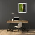 thumbnail image 3 of Richardson, Larry 15x18 White Modern Wood Framed Museum Art Print Titled - A green treefrog takes refuge among the furrows of bark of a slash pine tree in southern-Florida, 3 of 4