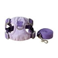thumbnail image 1 of CSChome Adjustable Pet Harness Set Adjustable Vest Dog Harness Set Lightweight Breathable Comfortable Pet Harness Set, 1 of 7