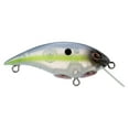 thumbnail image 2 of Berkley Shallow Money Badger Fishing Crankbait, 2.1 in, Hybrid Baitfish-Crayfish, 2 of 6