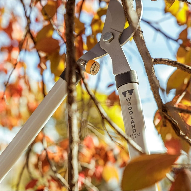 Woodland 8.38 In. Adjustable Heavy Duty Bypass Pruner - Town Hardware &  General Store
