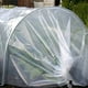 thumbnail image 4 of Naiovety Lona transparente para una fácil protección de las plantas en cualquier clima Paneles de policarbonato para invernaderos Láminas de Jardín y Patio Color transparente 2m*6m, 4 of 6