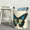 thumbnail image 6 of Haiem Blue Black Butterfly Art Print Laundry Basket, Laundry Hamper, Collapsible Laundry Baskets, Dirty Clothes Hamper, Waterproof with Handles for College Dorm, Family-Medium, 6 of 6