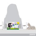 thumbnail image 4 of Pinta tus propias raíces creativas de unicornios con pintura y pincel, 4 of 5