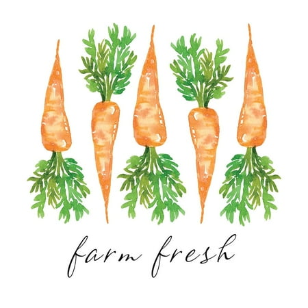 - Farm Fresh Carrots Poster Print by Elise Engh