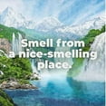 thumbnail image 2 of Irish Spring Body Wash Original 30 Fluid Ounce (Pack of 2), 2 of 7