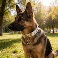 thumbnail image 1 of Dvkptbk dog collar Pet Necklace Dog Collar with Bow Collar WithSoft Nylon Puppy Collar for Small Medium Large Dogs Fashion Pet Accessories Safety Buckle, 1 of 7