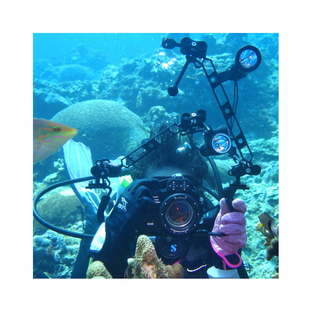 Dual Ball Diving Clamp 2-Hole Butterfly Clip Underwater Arm for GoPro Flashlight 