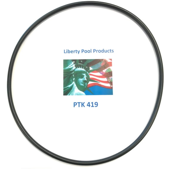 PTK-239 Hayward® (SPX4000T) Seal Plate O-ring NorthStar™ Replacement By Liberty Pool Products