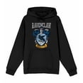 thumbnail image 4 of Harry Potter Ravenclaw Crest Long Sleeve Adult Hooded Sweatshirt-Large, 4 of 7