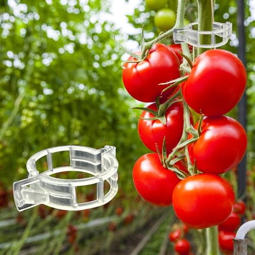300Pcs Tomato Clips,Plastic Trellis Clips Plant Support Clips,Plant Clips for Support,Grape Vine,Tomato Vine,Vegetables Plants,Garden Clips to Grow Upright Makes Plants Healthier