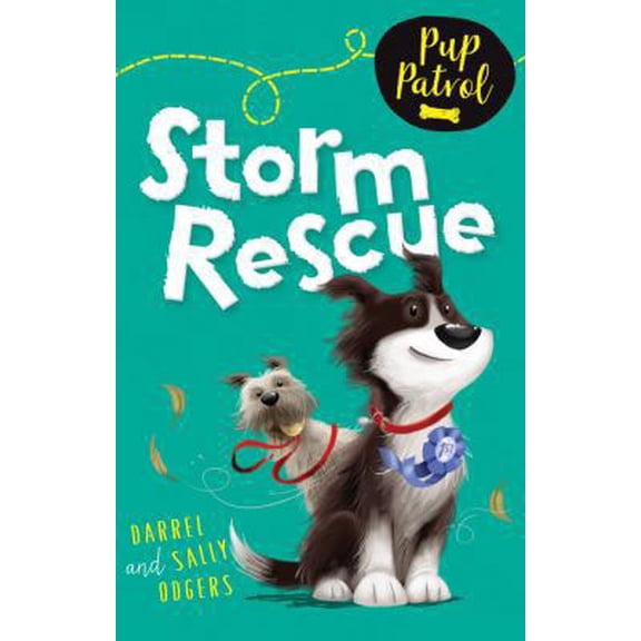 Pre-Owned Storm Rescue by Sally & Darrel Odgers (Paperback) English
