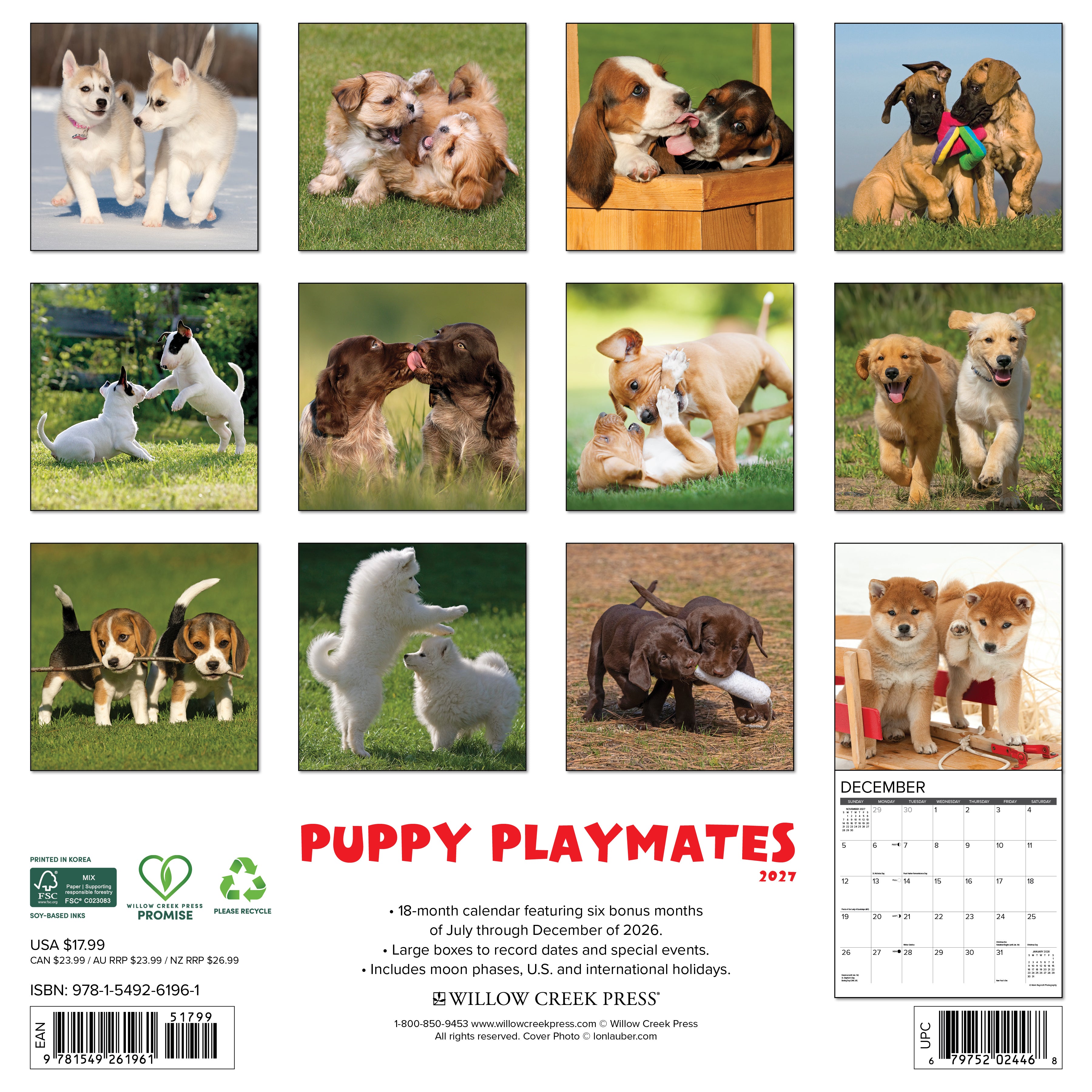 Willow Creek Press, Puppy Playmates 2027 Wall Calendar