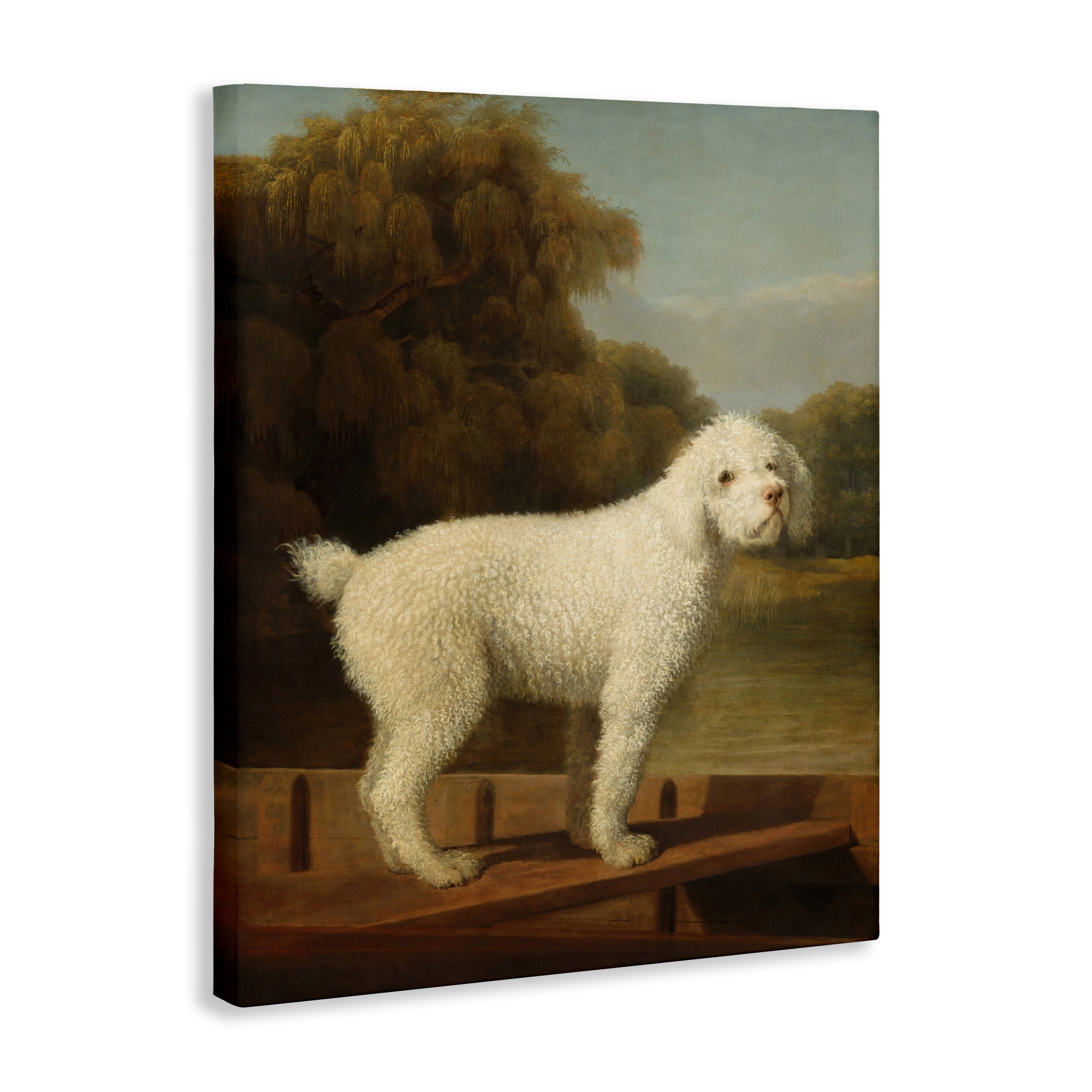 Stupell Industries White Poodle in a Punt Canvas Wall Art, design by Tina LeCour