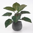 thumbnail image 3 of Planta artificial Hoja Oficina en casa Verdor Decoración Banquete de boda Planta falsa de plástico, Rojo, Tipo de hoja 3 kenally HA6782-05B, 3 of 6