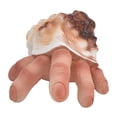 thumbnail image 2 of Home Decor,Shell Finger Resin Ornaments Resin Ornament Decorative Craft Masterfully Created, 2 of 14