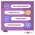 thumbnail image 2 of Joint Support Supplement for Dogs - Glucosamine for Dogs - with Chondroitin, MSM & Manganese - Hip & Joint Supplement for Dogs Mobility Support & Dog Joint Pain Relief - 120 Chewable Tablets, 2 of 7