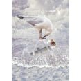 thumbnail image 2 of Babette 24x32 White Modern Wood Framed Museum Art Print Titled - Bottle and Seagull, 2 of 4