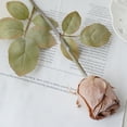 thumbnail image 2 of Fake Rose 1Pc Photo Props Fadeless Delicate 5 Colors Simulation Rose, 2 of 4