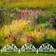thumbnail image 5 of Paquete de 4 paneles de plástico blanco para valla de jardín | Borde decorativo de 47 x 32 cm para parterres, césped y borduras | Borde plegable resistente a la intemperie, 5 of 5