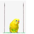 thumbnail image 4 of Penn-Plax, Bird Swing, 4 of 4