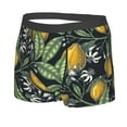 thumbnail image 2 of Fotbe Hand Drawn Citrus Fruits Elegant Lemons Men’s Total Support Pouch Boxer Briefs, X-Temp Cooling, Moisture-Wicking Underwear, Regular, Long-leg and Trunk-Small, 2 of 9