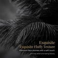 thumbnail image 3 of NOGIS 20pcs Black Ostrich Feathers Natural Bulk 8-10inch(20-25cm) Vase Craft Wedding Home Party Centerpieces Christmas Day Decoration, 3 of 7