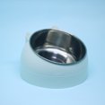 thumbnail image 1 of Bol pour Chat en Acier Inoxydable Net Celebrant Bol pour Chien Bol Double Protection de la Colonne Cervicale Bol pour Chat Bassin Alimentaire Explosif Oblique Fournitures pour Chat, 1 of 7