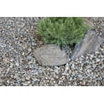 American Countryside Brown River Rock, Multi-Colored, 0.5 cu. ft ...