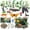 Rainforest, variant on 48 count Rainforest Diorama Kit Habitat Project Box Set Rain Forest Diorama Supplies Include Rain Forest Figures Artificial Trees Rocks with Cardboard for DIY Crafts Gifts