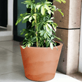 thumbnail image 1 of Ecobo Maceta de 29,0 cm de Alto | Ecológica, Duradera y Ligera | Para Uso Interior y Exterior, Resistente a la Intemperie, Diseño Contemporáneo de Artesanos Brasileños - Terracota, 1 of 5