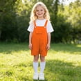 thumbnail image 2 of ANINEO Boys Candy Color Suspenders Outfit Sets Casual O-Neck Short Sleeve T-Shirts With Romper For Children Kindergarten Performance And School Events Trendy Toddler Clothes Sets, 2 of 6