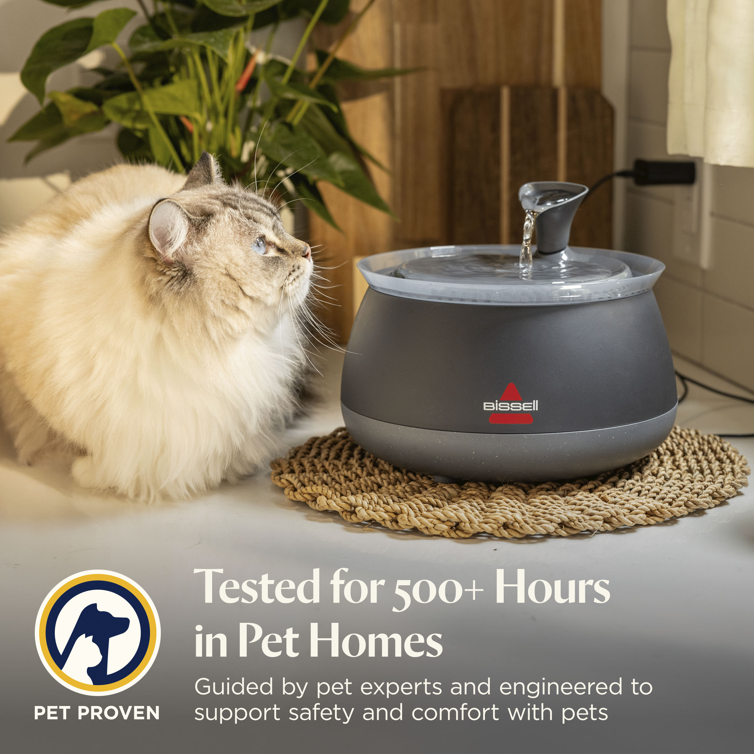 BISSELL HydrateWell Automatic Cat Water Fountain, Black photo 5
