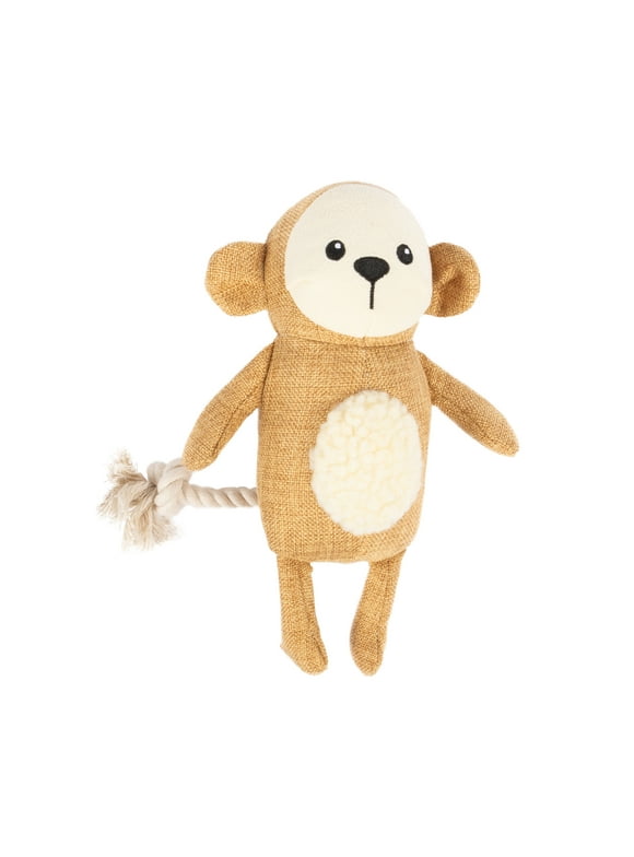 Vibrant Life Dog Plush Toys in Dog Toys