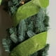 Northlight Chatoyant Vert Lime Solide Filé Ruban d'Artisanat de Noël - 2,5 "x 10 Yards – image 3 sur 3