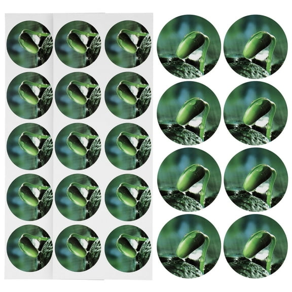 HOMEMAXS  5 Sheets Mark Plants Labels Adhesive Pot Stickers