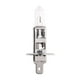 thumbnail image 1 of H1 12V 100W Universal Car Lamp Light Bulb Head Light Cuarzo Lámpara halógena Tmvgtek Accesorios para autos y motos, 1 of 3