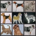 thumbnail image 4 of Amazing Custom Dog Portraits [Basset Hound ] Embroidery Iron On/Sew Patch (5.5" x 4")[Made in USA], 4 of 4