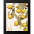 thumbnail image 2 of Blaustein, Alan 15x18 Black Modern Framed Museum Art Print Titled - Lemons - 1, 2 of 5