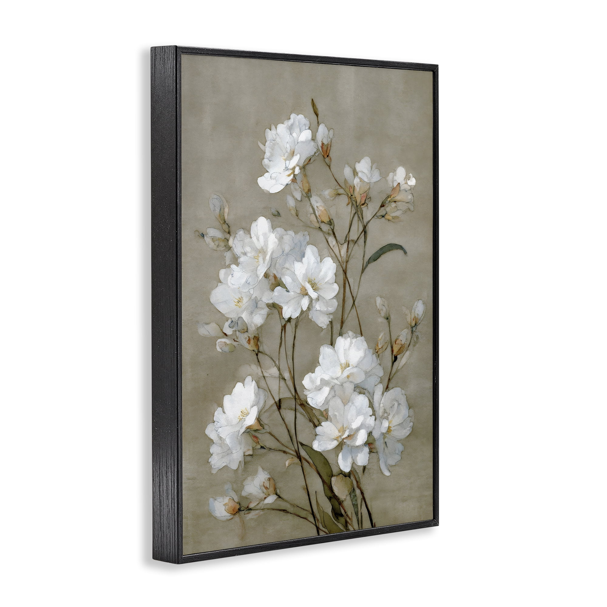 Stupell Industries Aged White Botanical Study Black Framed Giclee Art, design by Petal Prints Design
