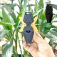thumbnail image 1 of Cuchillo de rábano de gravedad 3D, juguete de descompresión de celebridades en línea, cuchillo de salto directo, cuchillo de plástico, versión Q, cuchillo súper lindo, naipes edc, 1 of 1
