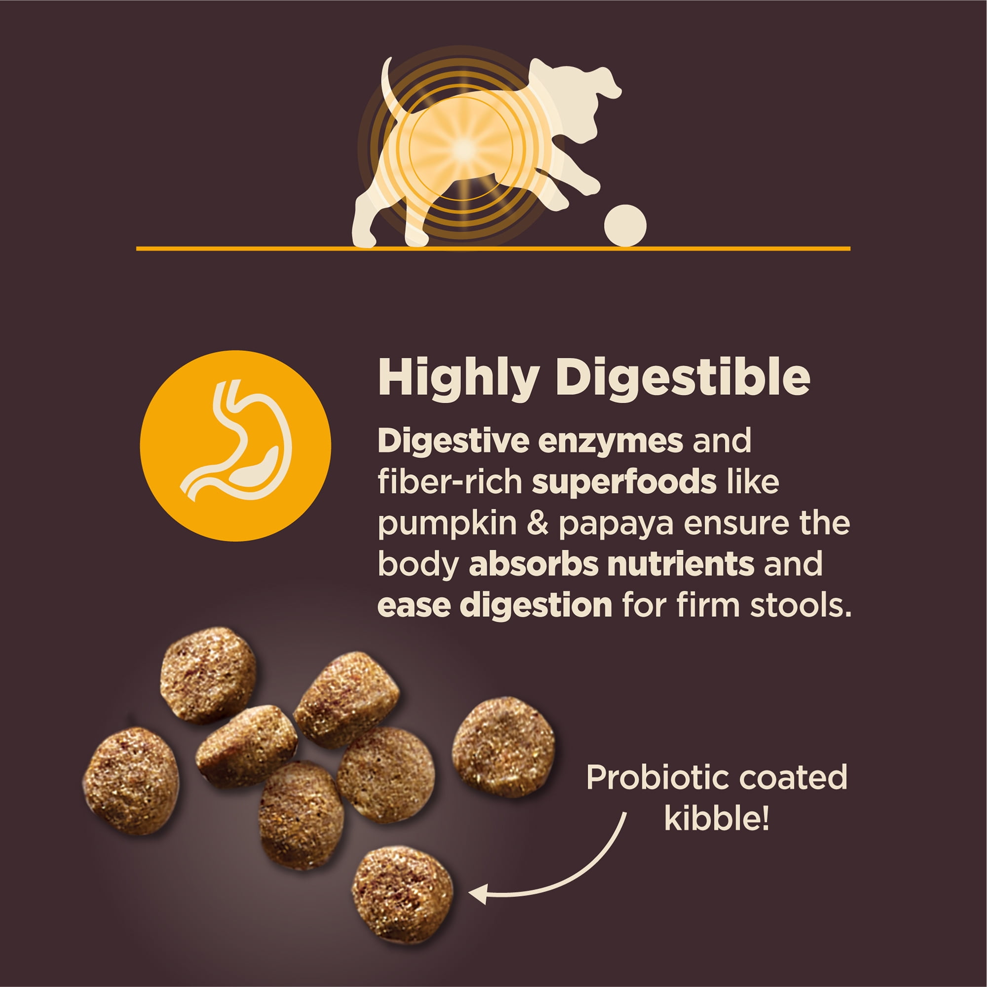 Wellness CORE Digestive Health Puppy Dry Dog Food, Wholesome Grains, Natural, High Quality Ingredients for Dogs with Sensitive Stomachs, Chicken Recipe, (24-Pound Bag)