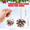 thumbnail image 2 of Happon 18 Pieces Pine Cones for Christmas Tree Christmas Pine Cones Ornaments Pine Cones Decorations Frosted Mini Pine Cones Xmas Pinecones with String Pendant Crafts for Farmhouse Winter Party, 2 of 6
