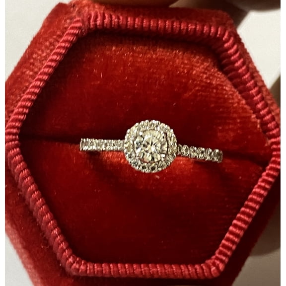 1/2 CTW Diamond Halo Engagement Ring in 10K White Gold