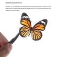 thumbnail image 3 of Kit d'Outils Spécimen, Boîte d'Affichage Léger Transparent Éducatif pour la Classe, 3 of 8