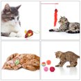 thumbnail image 3 of 20PCS Cat Toy Set Interactive Assorted Cat Training Toys Mouse Toy for Pet Cats, 3 of 10