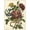 Unframed, variant on Art.com Floral Posy II Art Print by Giovanni Ferrari, 12" x 16"