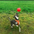 thumbnail image 3 of Horsemen S Pride Bounce-n-play Ball Orange - 2545, 3 of 7